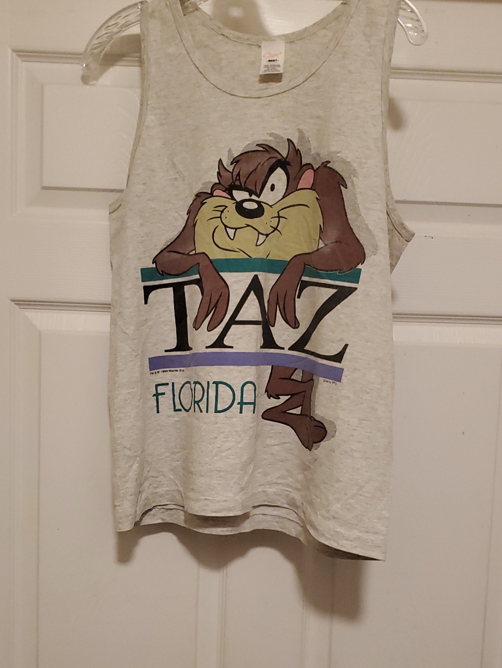 Looney Tunes Taz Florida Tank Top - Light Gray